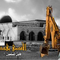 Ali Musleh Photo 6