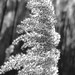 Milton Reed Photo 6