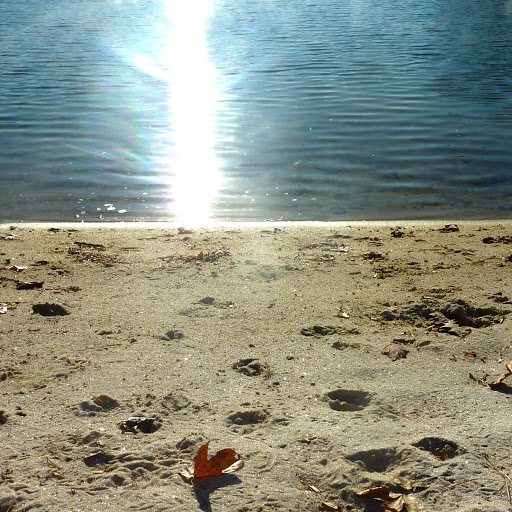 Cindy Parker Photo 33