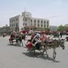 Ye Cheng Photo 11