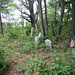 Lyman Stone Photo 4