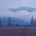Sean Cushman Photo 5