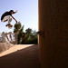 Chris Lam Photo 12