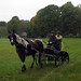 Carl Washburn Photo 8