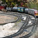 Walter Andersen Photo 4