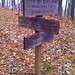 Jake Panther Photo 8