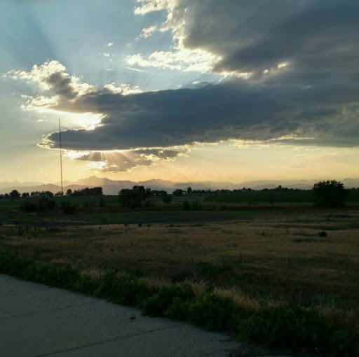 Kami Young Photo 12