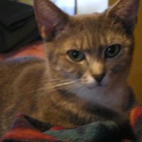 Kay Creamer Photo 4