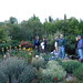 Dianne Davis Photo 11