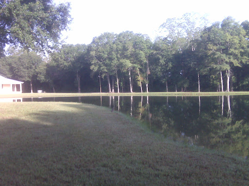 Ann Long Photo 26