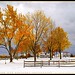 Autumn Winters Photo 4