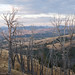 Andrew Washburn Photo 9