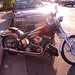 Ty Hill Photo 8