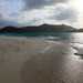 Sandy Dykes Photo 4