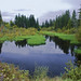 Joseph Richardson Photo 18