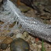 David Feder Photo 14
