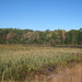 Harvey Reed Photo 6