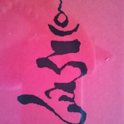 Tashi Dawa Photo 15