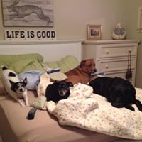 Carole Mills Photo 39