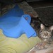 Marie Yow Photo 5