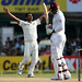 Mohammad Shami Photo 9