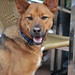 Jay Lose Photo 10