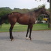 Janet Slaughter Photo 7