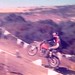 Rex Harley Photo 7