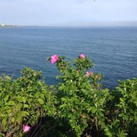 Debra Gannon Photo 9