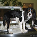 Justin Padden Photo 3