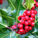 Holly Welsh Photo 15