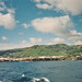 Cruz Flores Photo 4