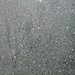 Kimberly Snow Photo 16