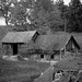Raymond Luther Photo 4