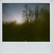 Vicki Cornell Photo 8