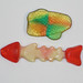 Ray Fish Photo 7