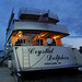 Crystal Dolphin Photo 8