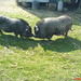 Patricia Samson Photo 12