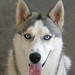 Kira Santos Photo 2