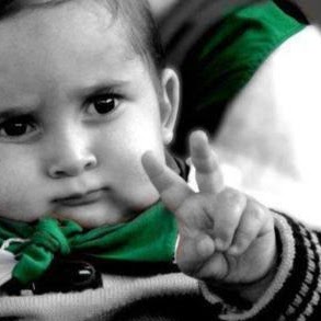 Wael Kassem Photo 9