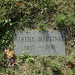 Ernest Moses Photo 9
