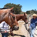 Peggy Rea Photo 8
