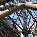 Julie Robertson Photo 9
