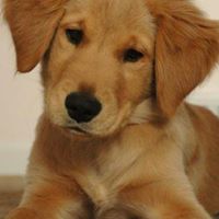 Kelly Bunch Photo 19