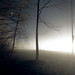 Mark Diehl Photo 17