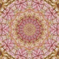 Laura Wuest Photo 13