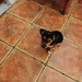 Russell Dawson Photo 12