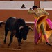 Sergio Flores Photo 10