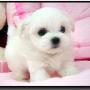 Jung Joo Photo 4