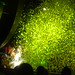 April Bjork Photo 6